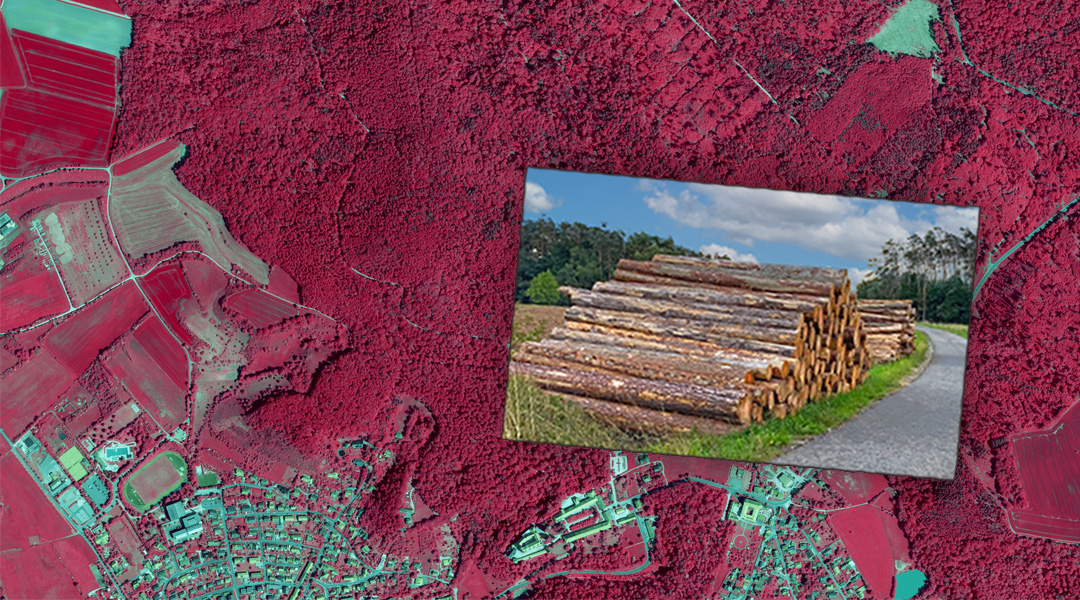 Die Color-Infrarot-Aufnahme zeigt eine Wald- und Siedlungsflächen. Der Wald wird in rot dargestellt, Die Siedlung in Grau. Auf dem Bild liegt ein weiteres Bild welches einen Stapel Baumstämme zeigt.